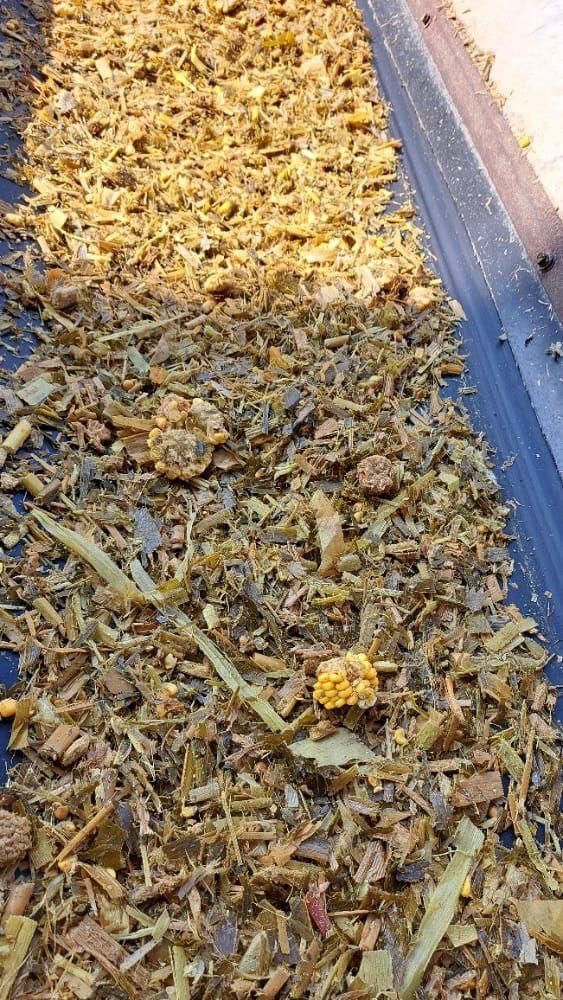 ذرت علوفه ای( چاپر) بسته‌بندی درجه یک ۴۰ درصد دان|لوازم جانبی حیوانات|همدان, |دیوار