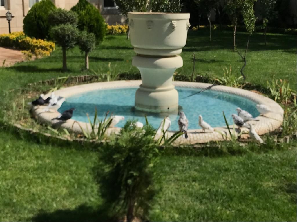 اجاره ویلا دوبلکس استخر جکوزی دار در تهرانسر|اجارهٔ کوتاه‌مدت ویلا و باغ|تهران, تهرانسر شرقی|دیوار
