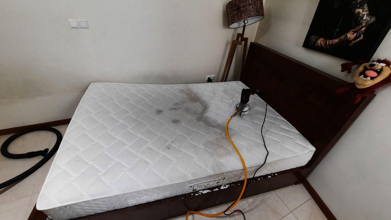 مبل موکت خوشخواب شویی ، مبلشویی ، مبل شویی|خدمات نظافت|شیراز, زرهی|دیوار