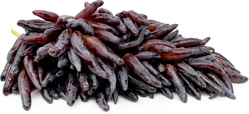 نهال انگور موندراپ و انگور های خارجی|گل و گیاه طبیعی|شیراز, محمدیه|دیوار