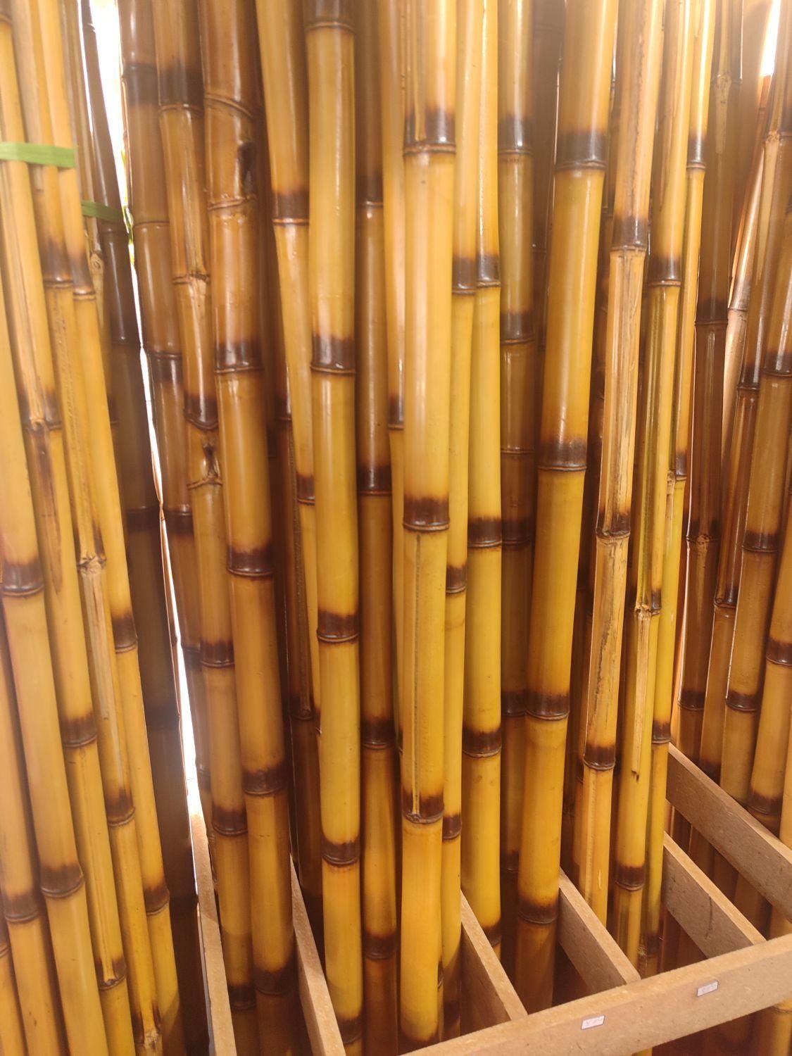 نی بامبو اصل&چوب بامبو|گل مصنوعی|تهران, هفده شهریور|دیوار