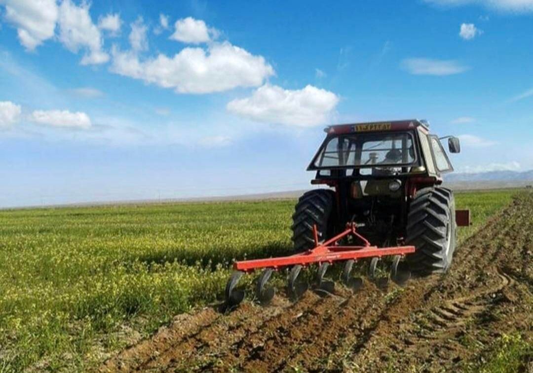 ۳۰۰۰ مترمربع زمین کشاورزی حاصلخیز|فروش دفتر صنعتی، کشاورزی، تجاری|کرج, اکبرآباد|دیوار
