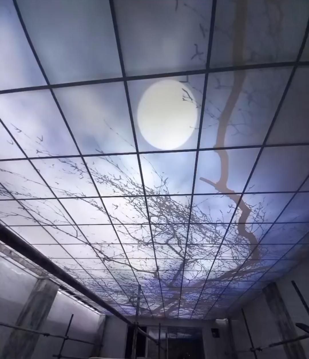 سقف کاذب و کناف .فروش.نصب تعمیرات انصاری|خدمات پیشه و مهارت|تهران, استاد معین|دیوار