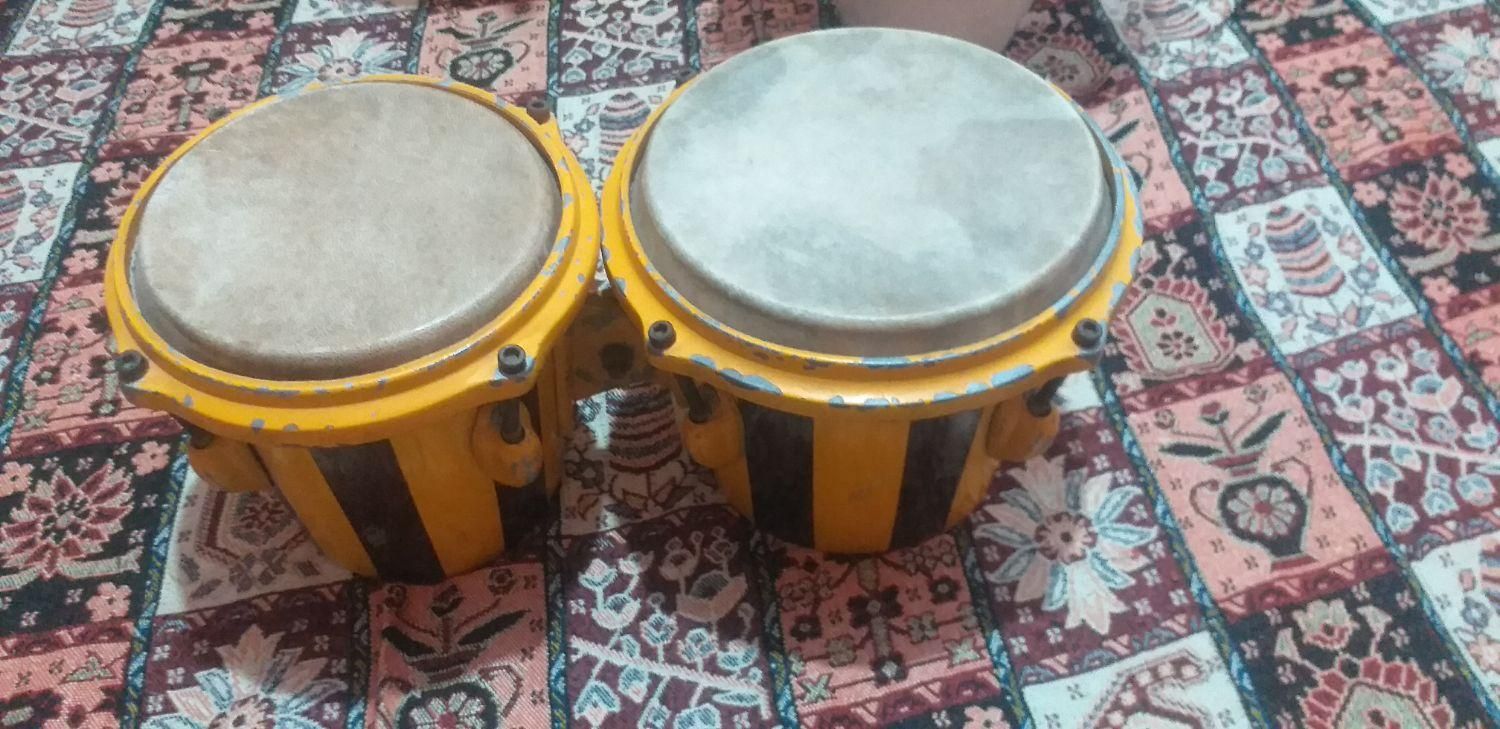 کونگا - بینگو بانگو|درام و پرکاشن|فولادشهر, فولادشهر|دیوار