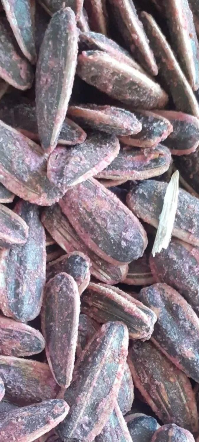 تخمه های خارجی ایرانی و بساطی|خوردنی و آشامیدنی|تهران, سجاد|دیوار