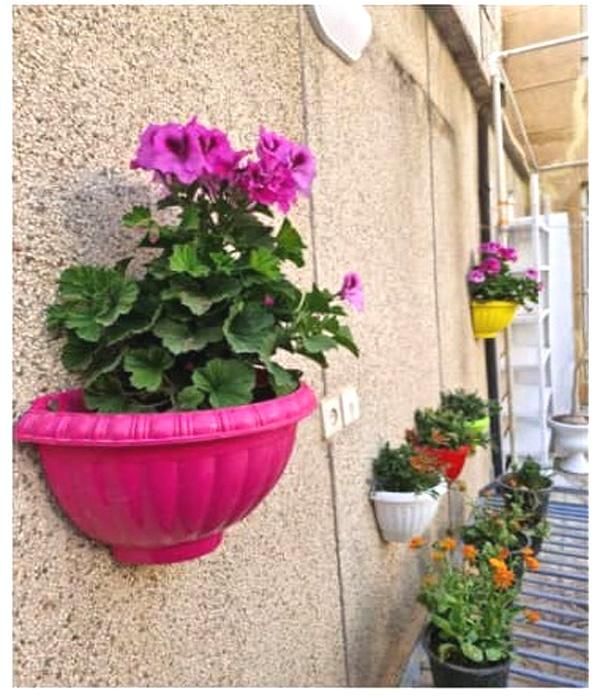 خوابگاه دخترانه ستایش|اجارهٔ کوتاه‌مدت آپارتمان و سوئیت|شیراز, سینما سعدی|دیوار