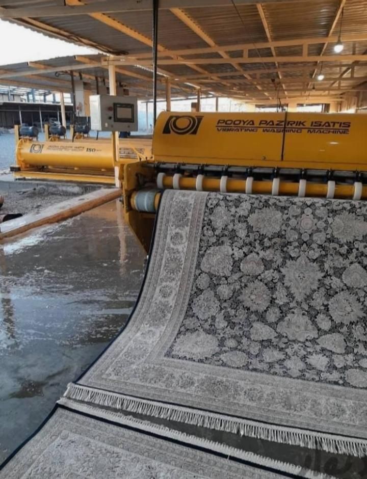 قالیشویی تابان شستشوی ضمانتی|خدمات نظافت|زاهدان, |دیوار