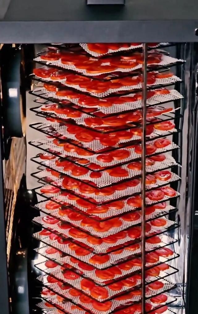 تولیددستگاه خشک کن میوه و سبزی سینی چرخشی 20|ماشین‌آلات صنعتی|کرج, گوهردشت|دیوار