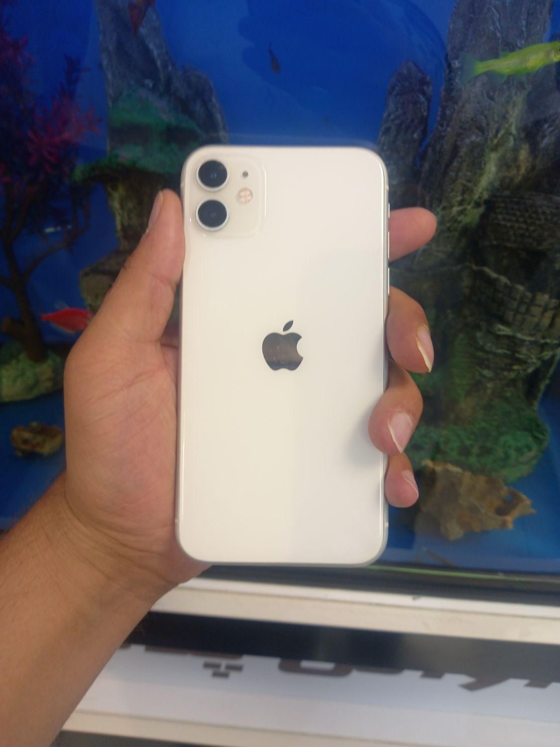 اپل iPhone 11|موبایل|کرج, گلشهر|دیوار