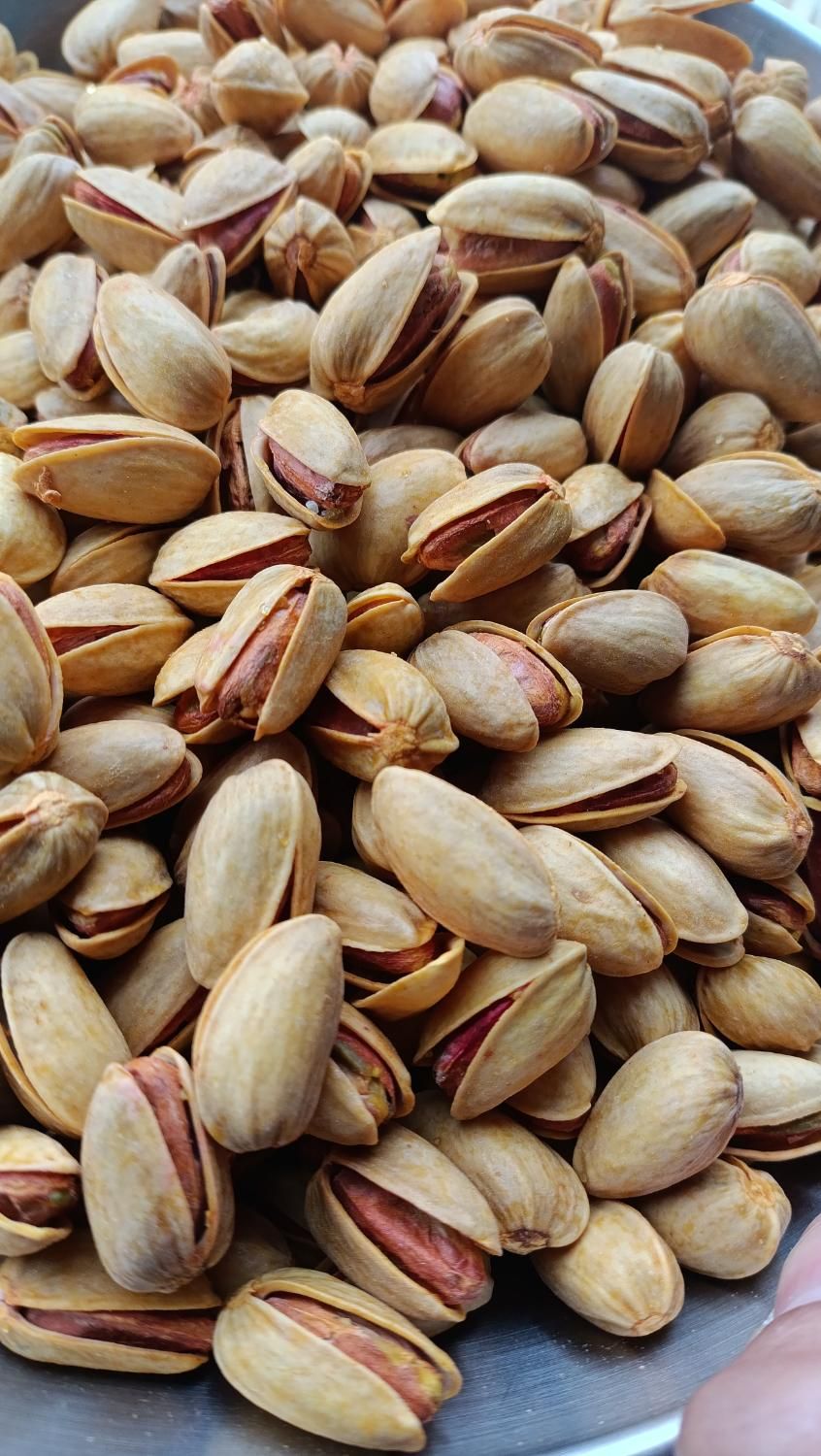 پسته اکبری|خوردنی و آشامیدنی|تهران, مرزداران|دیوار
