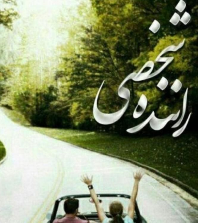 ماشین دربستی،تاکسی دربستی،اجاره خودرو،مشهد،شمال|خدمات حمل و نقل|شیراز, حافظیه|دیوار