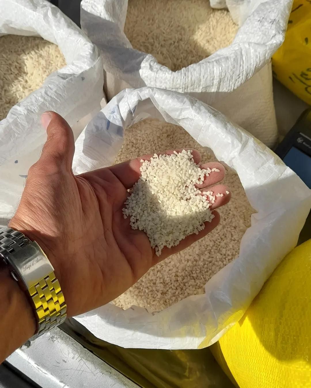 لاشه ها-شمی|خوردنی و آشامیدنی|پرند, فاز ۰|دیوار