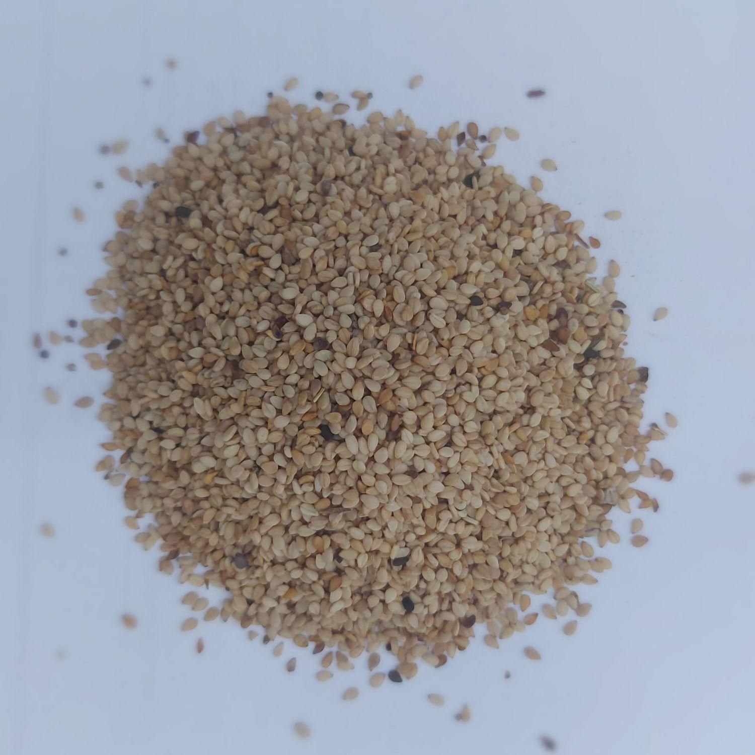 کنجد پاکستان روغن گیری شسته و نشسته|خوردنی و آشامیدنی|اهواز, سپیدار|دیوار