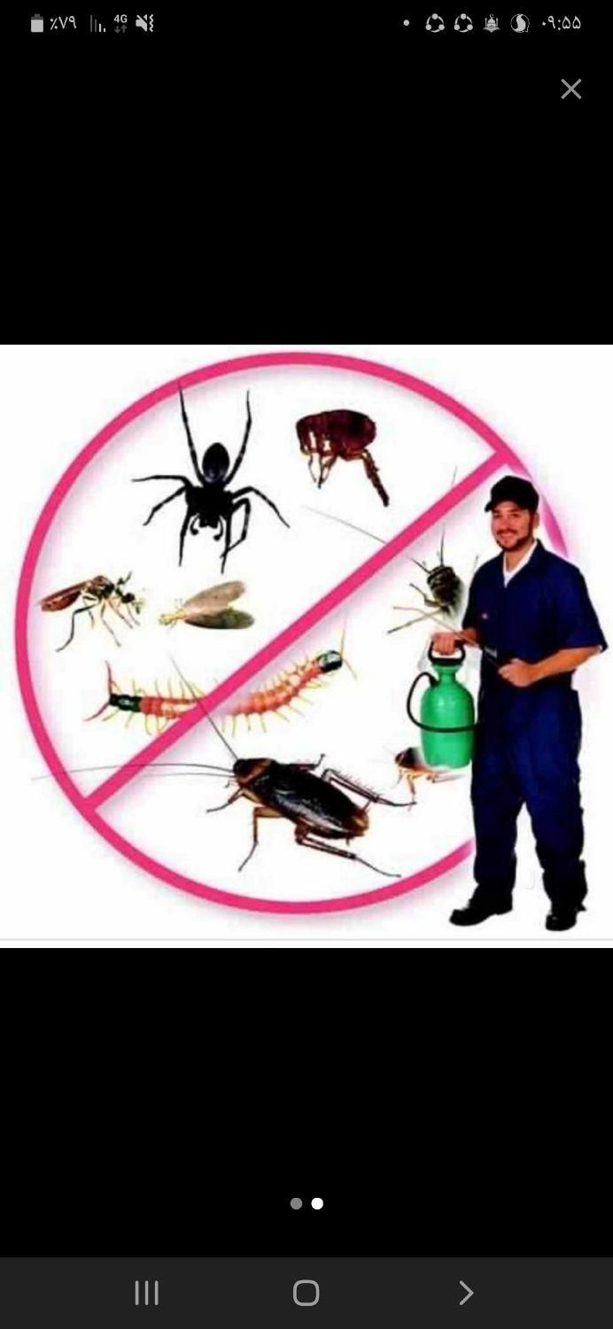 خدمات سم پاشی منزل|خدمات نظافت|صدرا-فارس, |دیوار