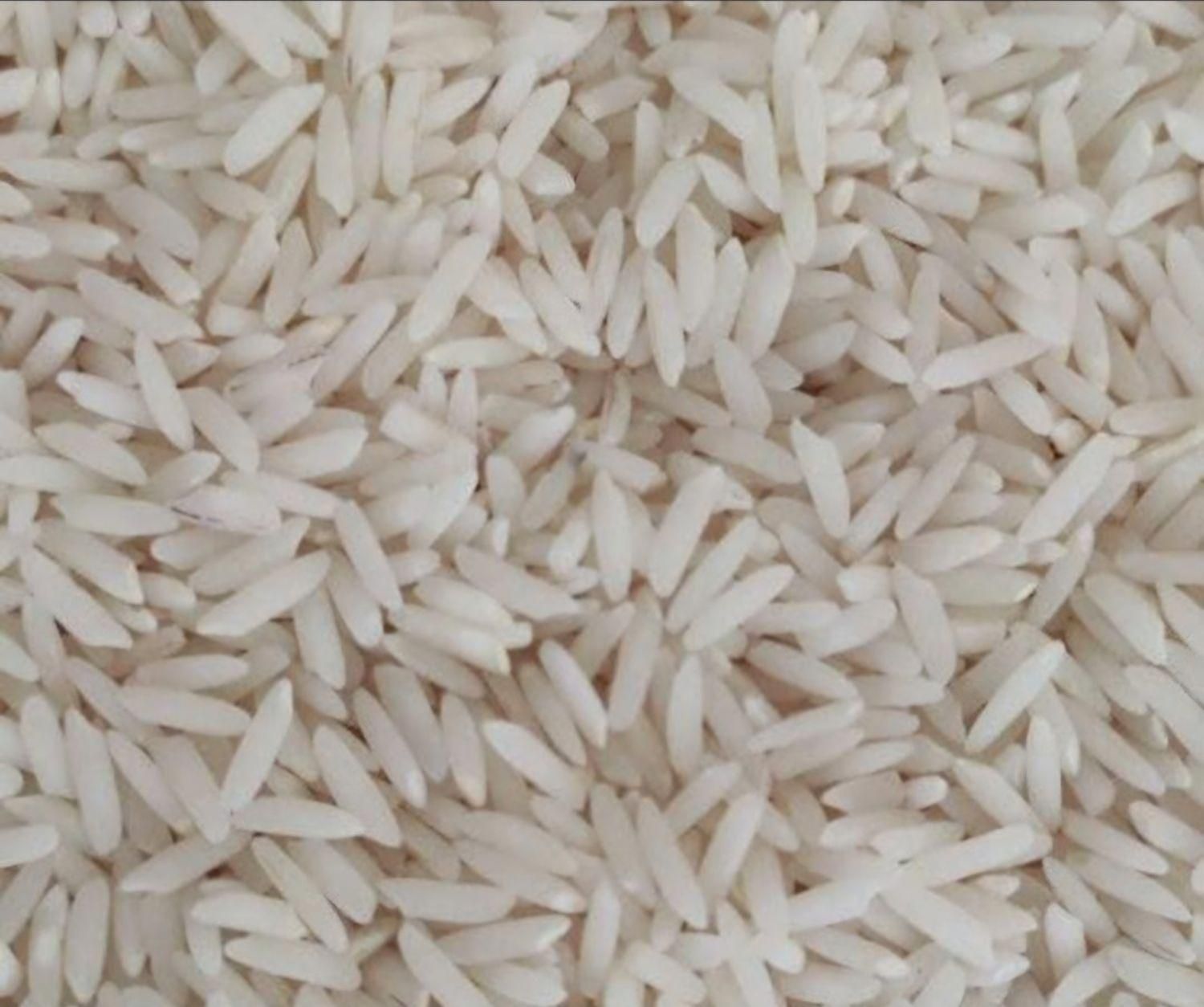 برنج خالص ویک دست لنجان|خوردنی و آشامیدنی|اصفهان, محمودیه|دیوار
