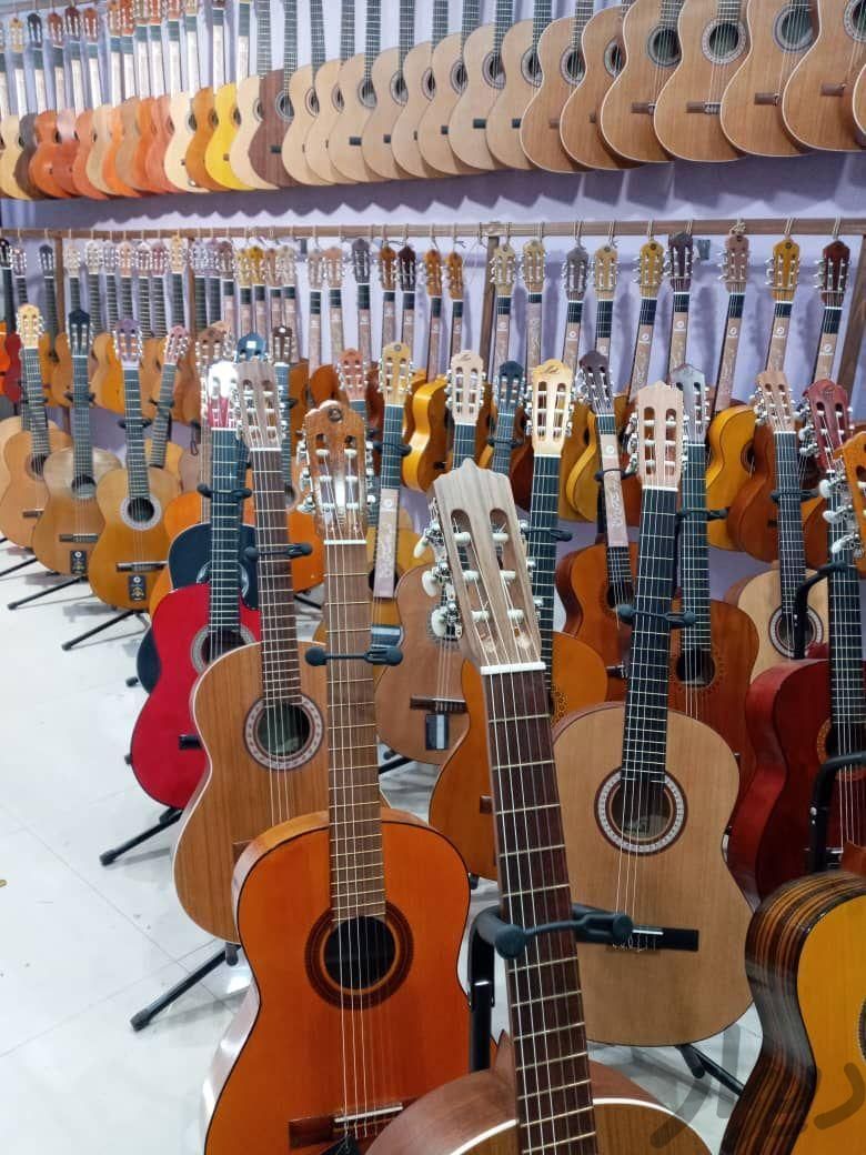 گیتار آموزش برند دالاهو|گیتار، بیس و امپلیفایر|شیراز, وصال|دیوار