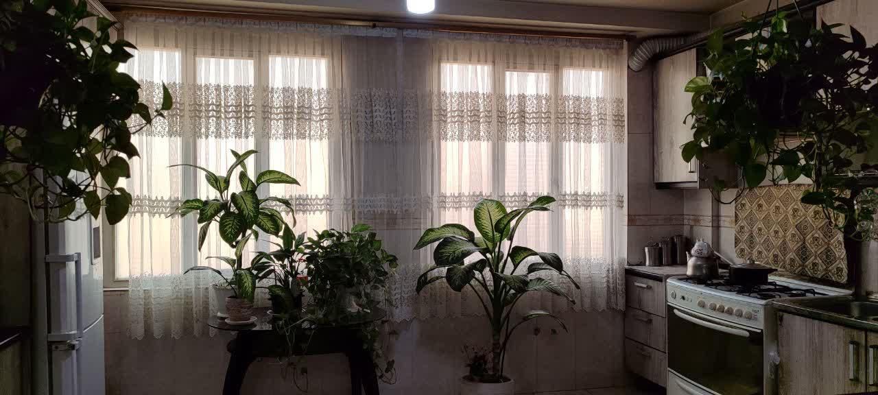 ۸۲ متر بی نقص خ ۱۰ متری شادآباد / ارس جاوید|فروش آپارتمان|تهران, شادآباد|دیوار