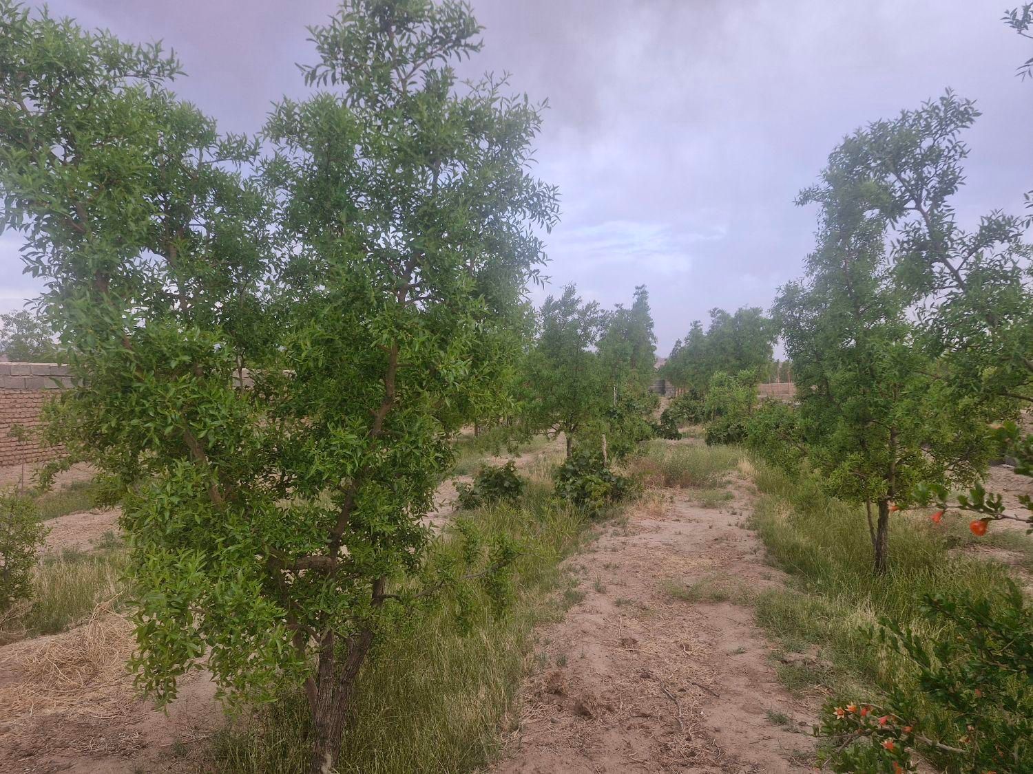 تصویر 4