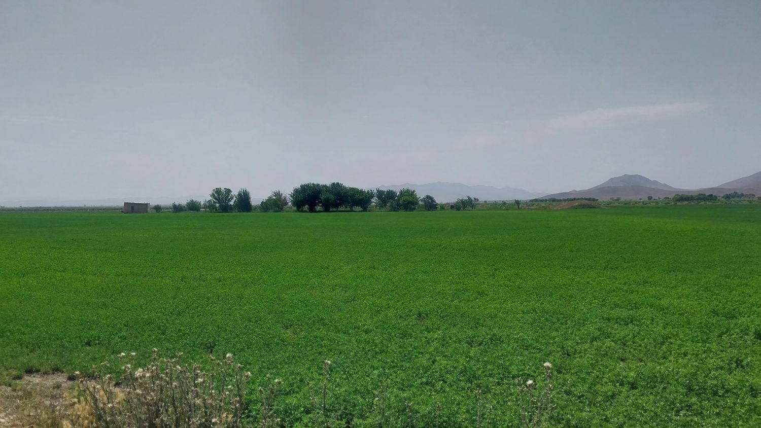 فروش زمین ۳۲۰ متر سند دار مناسب ویلا باغچه دماوند|فروش زمین و ملک کلنگی|تهران, تهرانپارس شرقی|دیوار