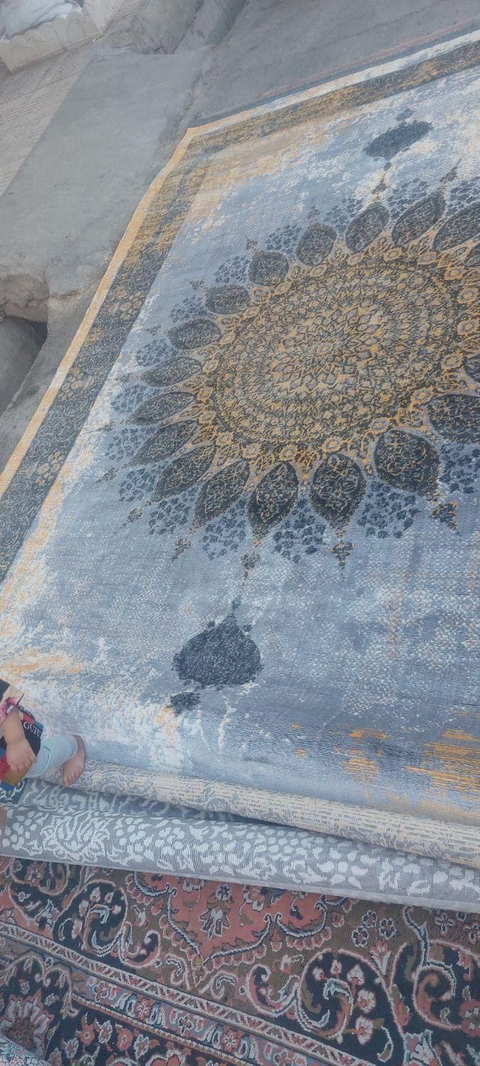 فرش قالی آروانا|فرش|شیراز, میانرود|دیوار