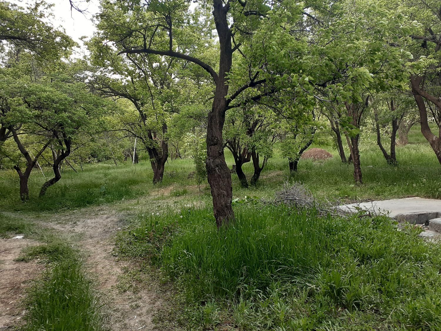 اجاره سوئیت. خانه ویلایی. ویلا .در تالاب چغاخور|اجارهٔ کوتاه‌مدت آپارتمان و سوئیت|شهرکرد, |دیوار