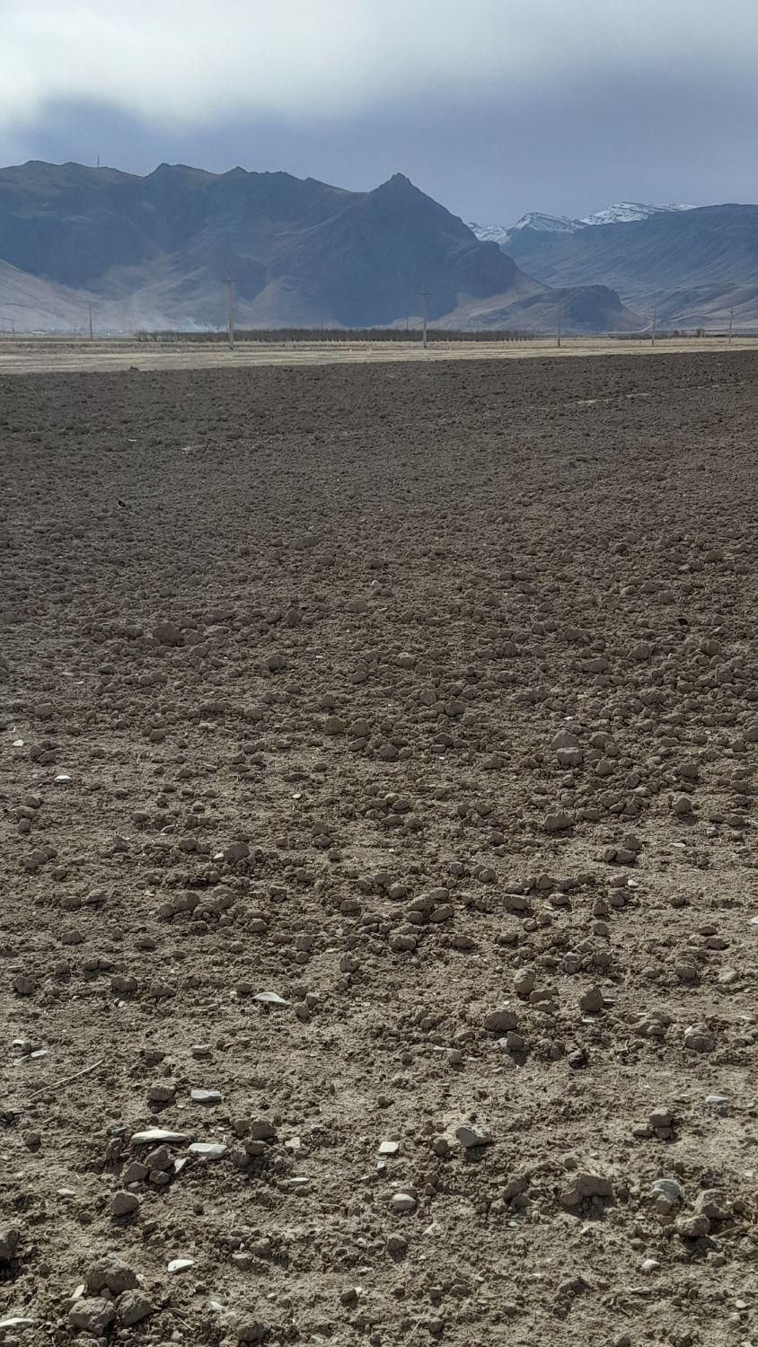 فروش زمین ۸ هکتار|فروش زمین و ملک کلنگی|گندمان, |دیوار