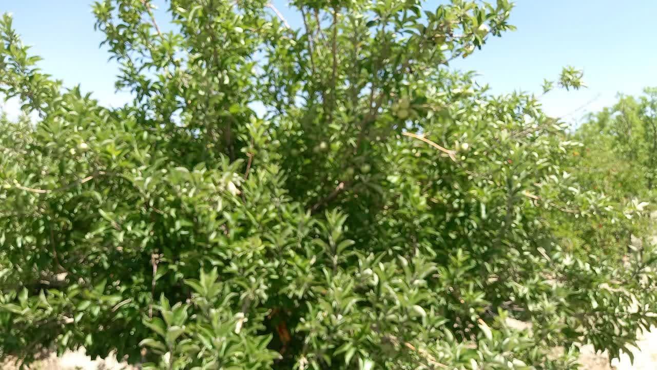 تصویر 6