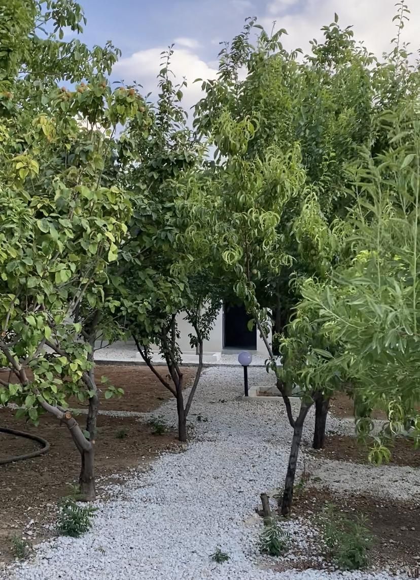 اجاره منزل ویلایی دربست در سپیدان همایجان سربست|اجارهٔ کوتاه‌مدت ویلا و باغ|همایجان, |دیوار