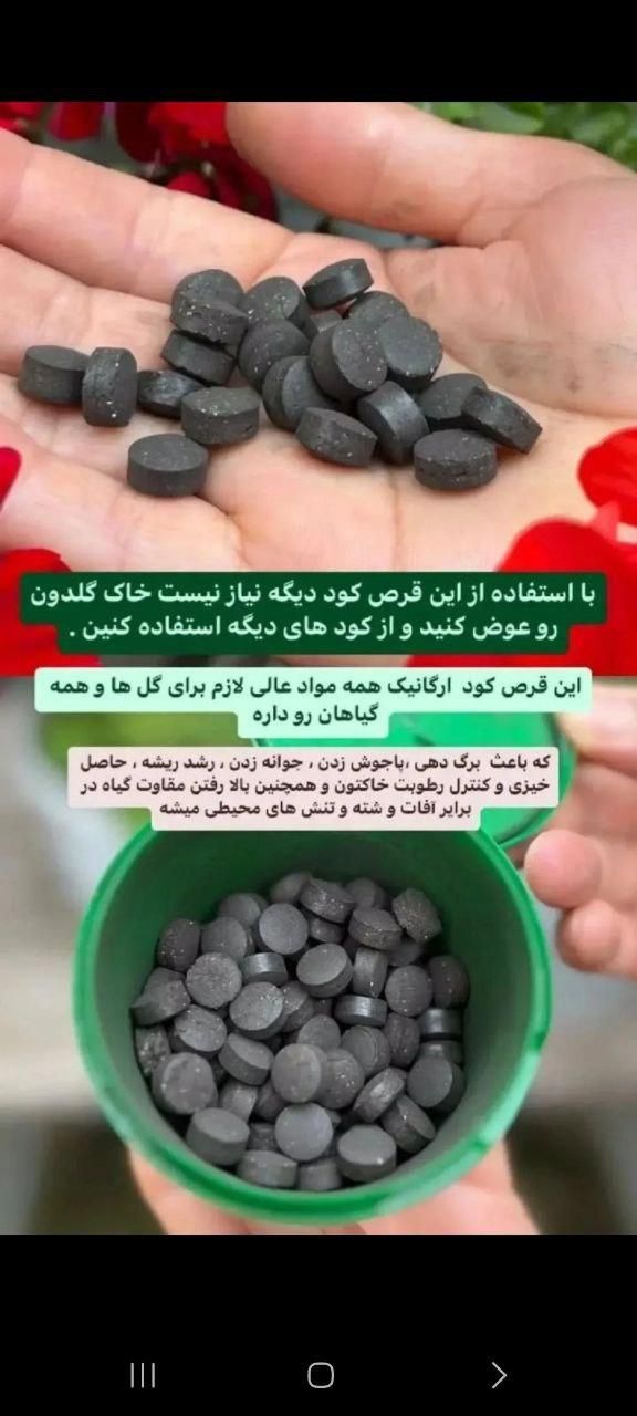 قرص کود گیاهان آپارتمانی|گل و گیاه طبیعی|گنبد کاووس, |دیوار