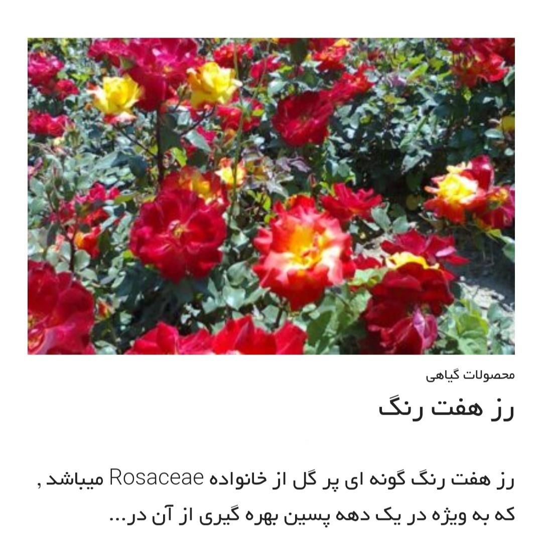 خاک روف گاردن و خاک باغچه|خدمات باغبانی و درختکاری|تهران, آجودانیه|دیوار