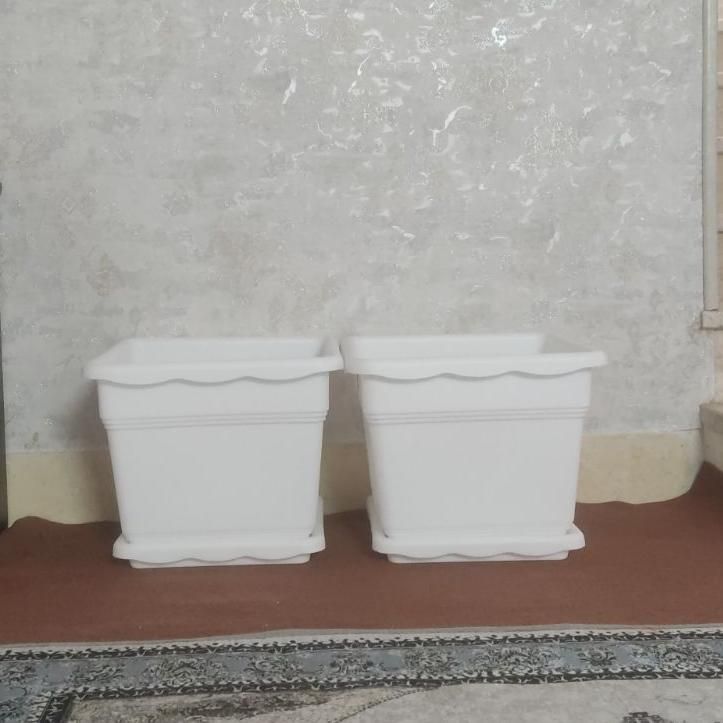 دو عدد گلدان با ارتفاع50در50|گل و گیاه طبیعی|اصفهان, خوراسگان|دیوار