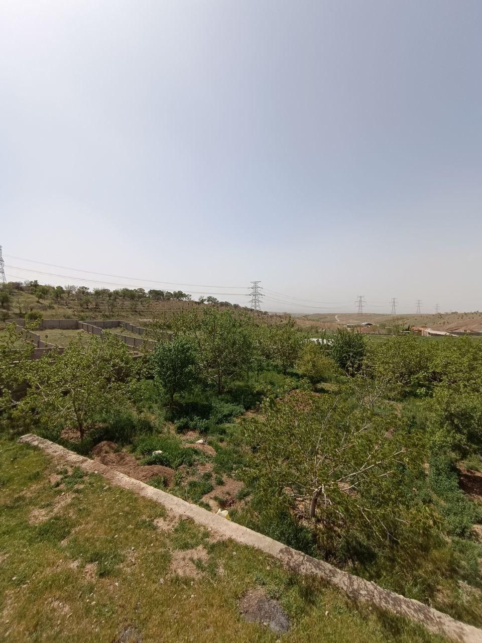 باغ چهاردیواری با امکانات پرورش اسب،دام قابل تهاتر|فروش دفتر صنعتی، کشاورزی، تجاری|هشتگرد, خور|دیوار