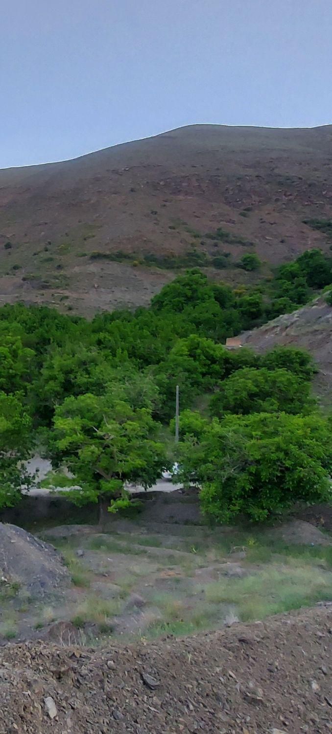 زشک ۸۰۰متر زمین باغی بادرختان گردو (معاوضه خودرو )|فروش خانه و ویلا|مشهد, سجاد شهر|دیوار