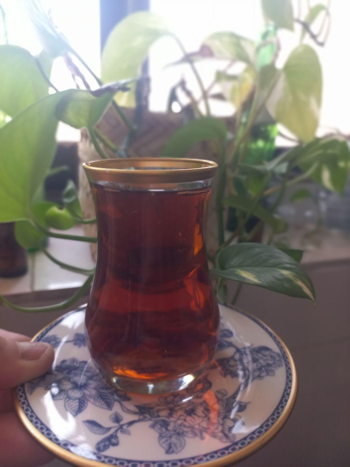 چای محلی ممتاز گیلان(دهکده برزم)|خوردنی و آشامیدنی|تهران, شیخ هادی|دیوار