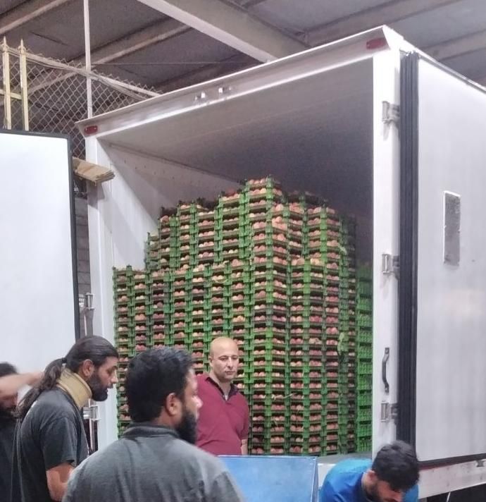 حمل بار یخچالی زیر صفر و بالای صفر|خدمات حمل و نقل|اهواز, شهرک نفت|دیوار