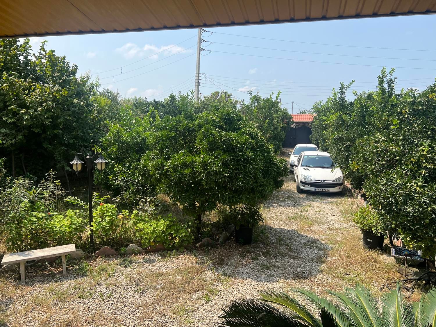 ویلا باغ ۱۰۰۰ متری با بنای. ۳ خواب شیک /سند تک برگ|فروش خانه و ویلا|کیاکلا, |دیوار