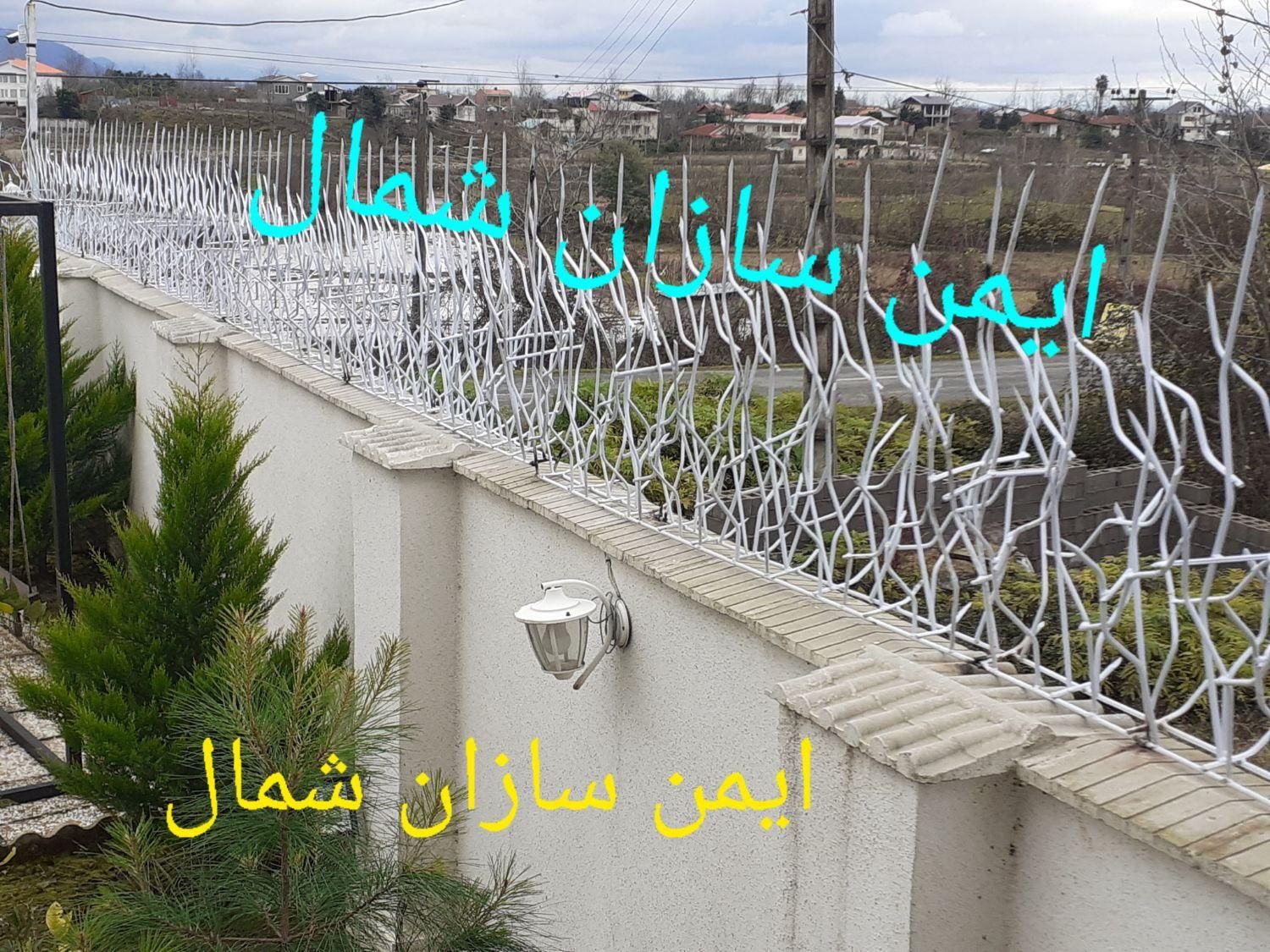 حفاظ شاخ گوزنی|خدمات پیشه و مهارت|رشت, جانبازان|دیوار