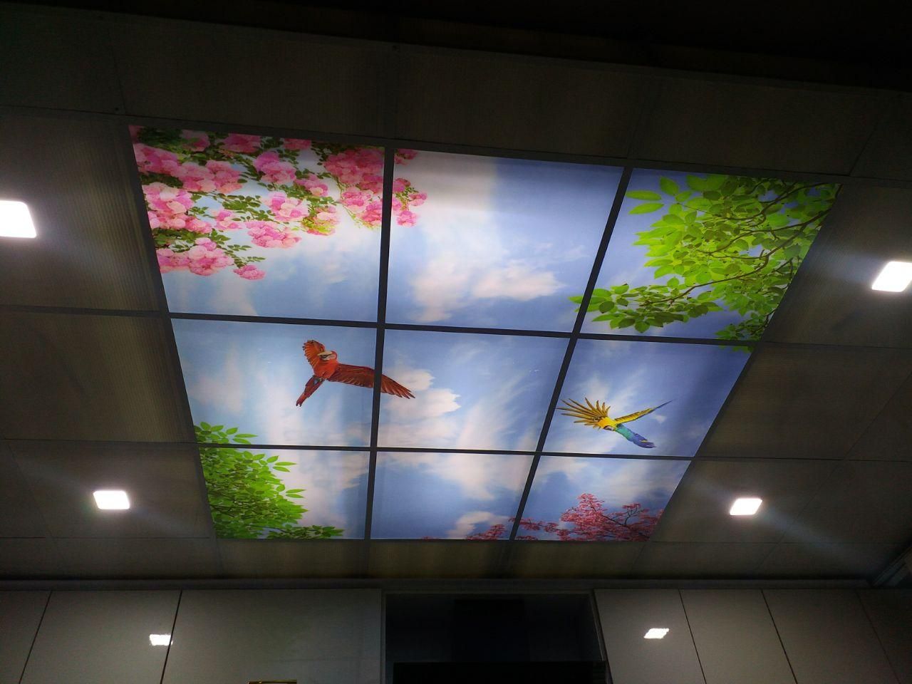 اجرای انواع سقف کاذب در تمام نقاط استان|خدمات پیشه و مهارت|یاسوج, |دیوار