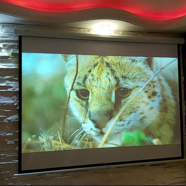 ویدئوپروژکتور منزل و مکان‌های اموزشی|تلویزیون و پروژکتور|تهران, تهرانپارس غربی|دیوار