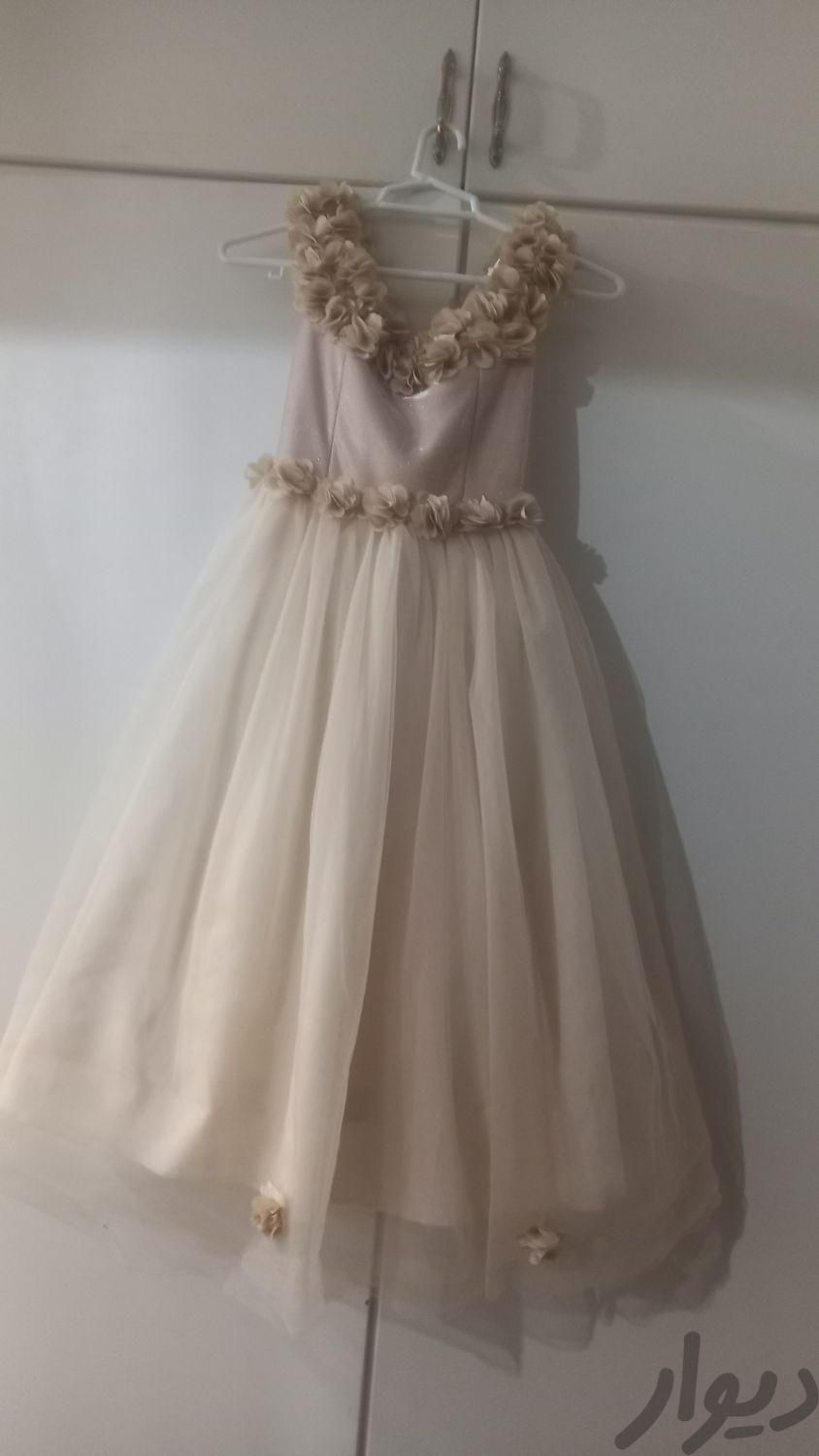لباس عروس دخترونه براسن ۸سال|لباس|آبیک, |دیوار