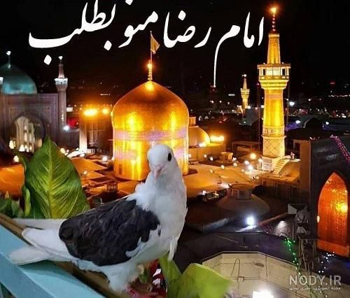 کاروان مشهدریلی واتوبوسی|تور و چارتر|تفت, |دیوار