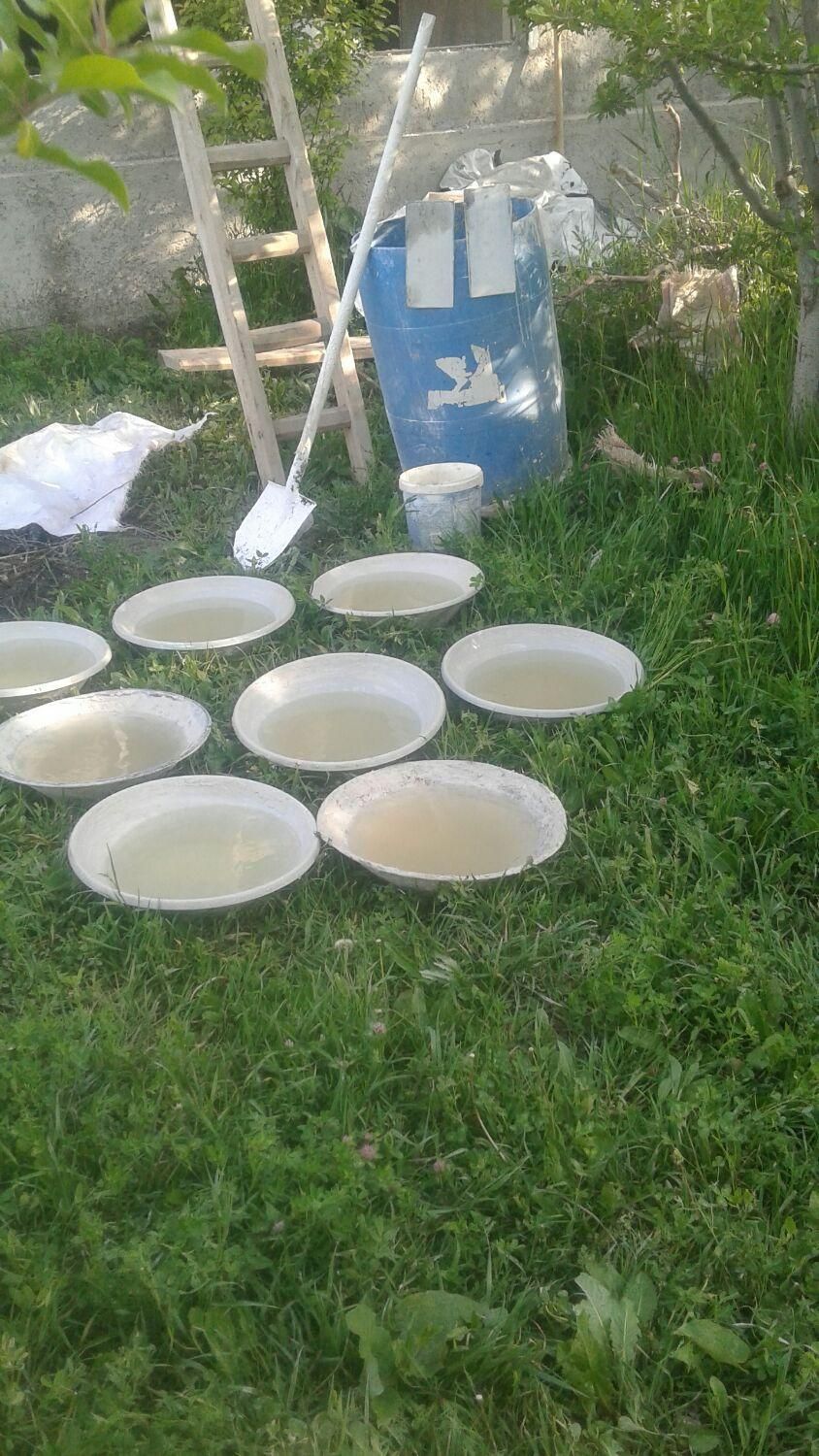 گچکاری گچ کاری گچبری ولکه گیری کلی جز ئ حتی نیم|خدمات پیشه و مهارت|تبریز, |دیوار