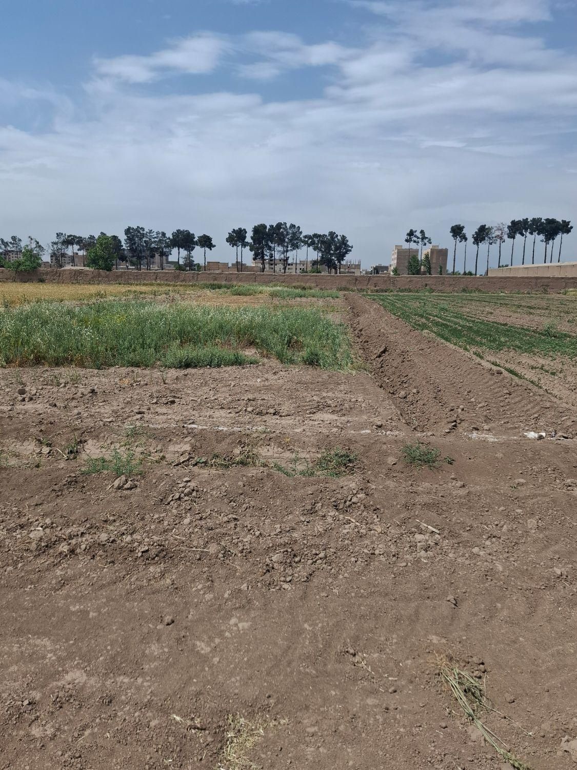 زمین باغی پویینک قرچک(سند تک برگ)|فروش زمین و ملک کلنگی|قرچک, پویینک|دیوار