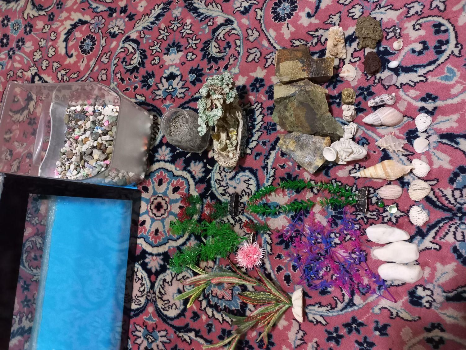 اکواریوم و وسایل کامل نو|ماهی|بومهن, |دیوار