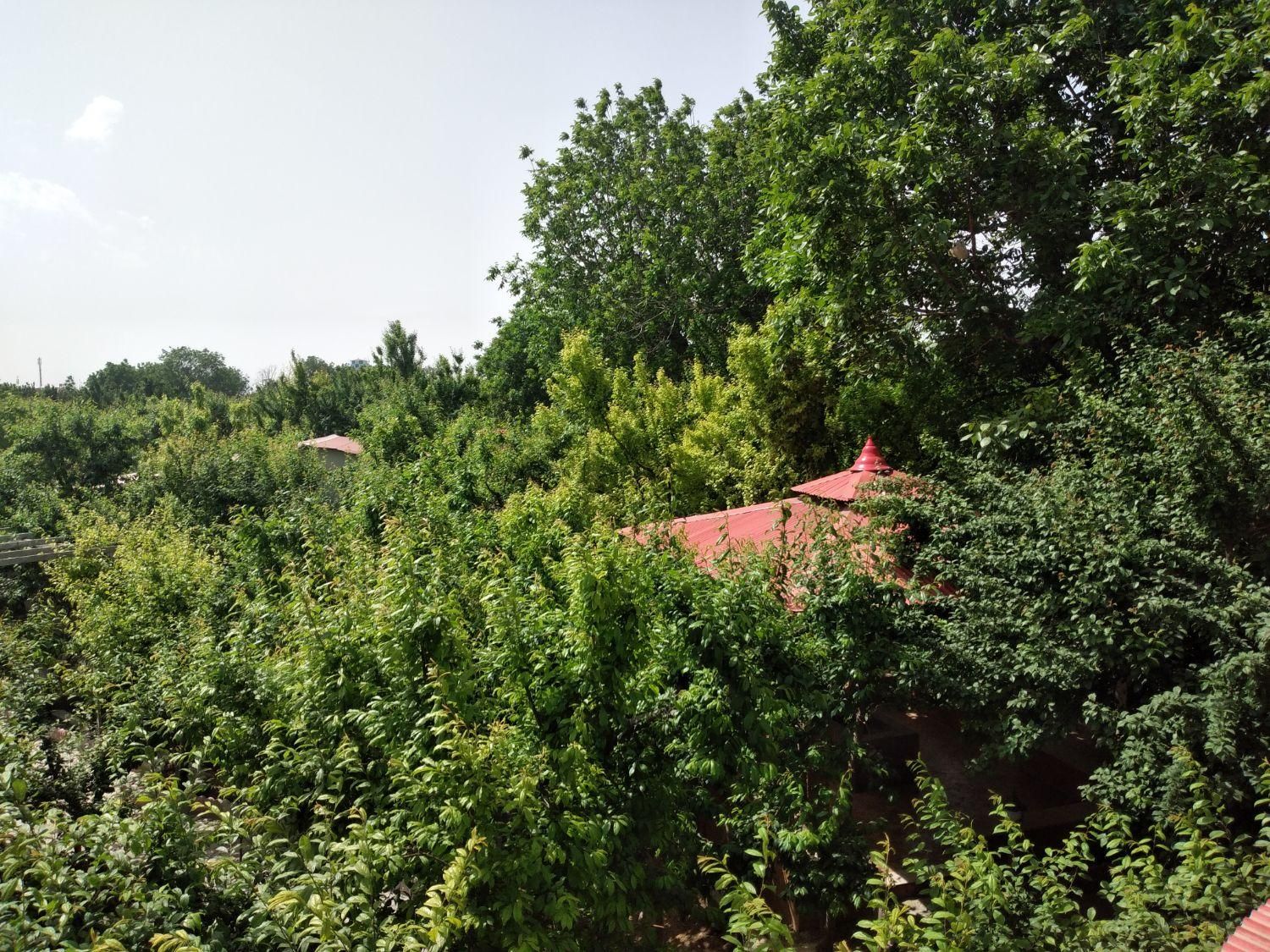 اجاره باغ ویلا استخردار سرپوشیده|اجارهٔ کوتاهمدت ویلا و باغ|شهریار, |دیوار