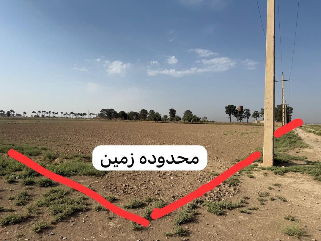 فروش زمین کشاورزی ۵۷۰۰ متری در ورامین (داوودآباد)|فروش دفتر صنعتی، کشاورزی، تجاری|قرچک, داوود آباد|دیوار