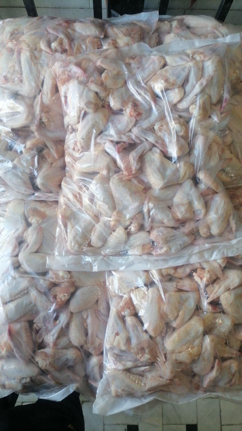 کتف بال تازشمال قیمت عمده ۱۵۷|خوردنی و آشامیدنی|قم, شهرک فاطمیه|دیوار
