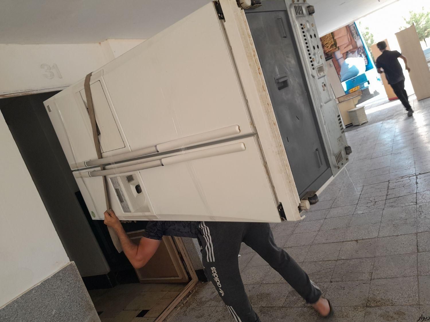 باربری محمودبار گلبهار  چناران مشهد|خدمات حمل و نقل|گلبهار, |دیوار