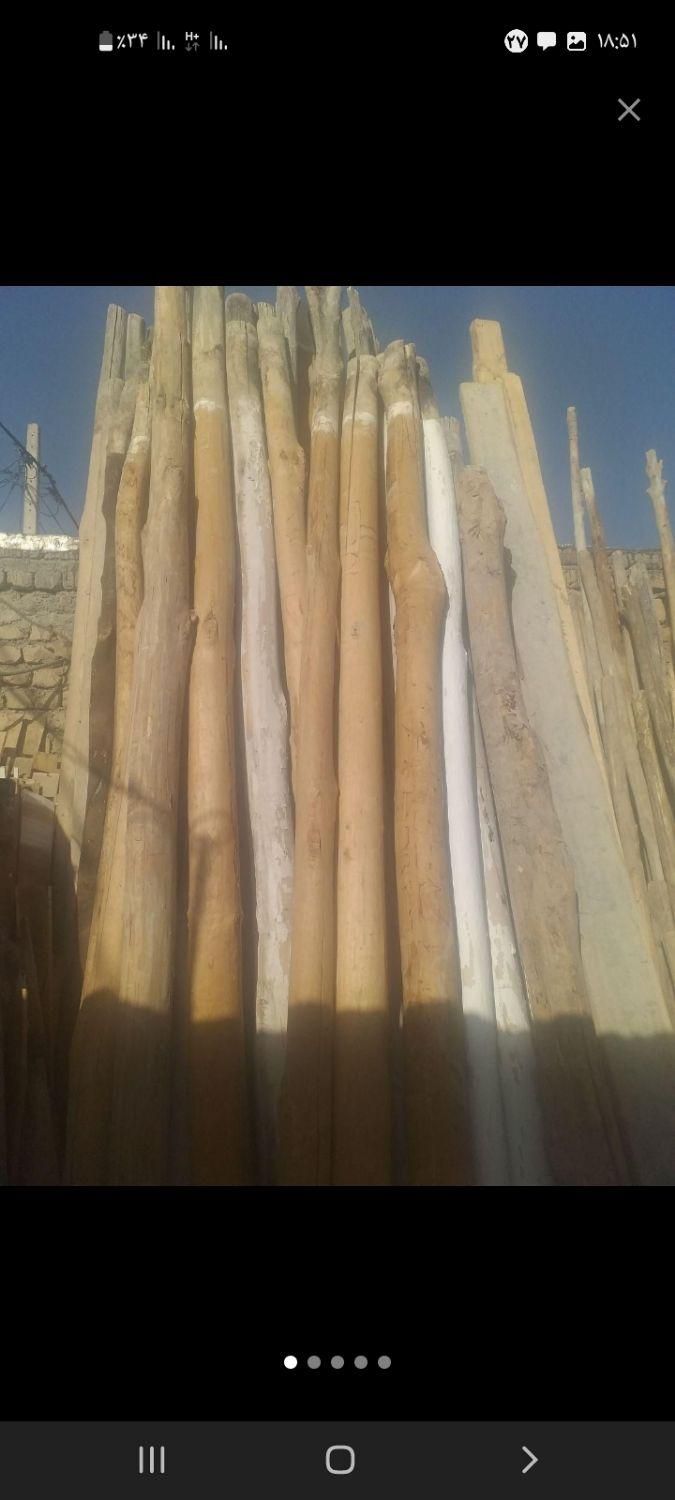خرید چوب سقفی و سپیدار وضایعات چوب|خدمات باغبانی و درختکاری|اسفراین, |دیوار