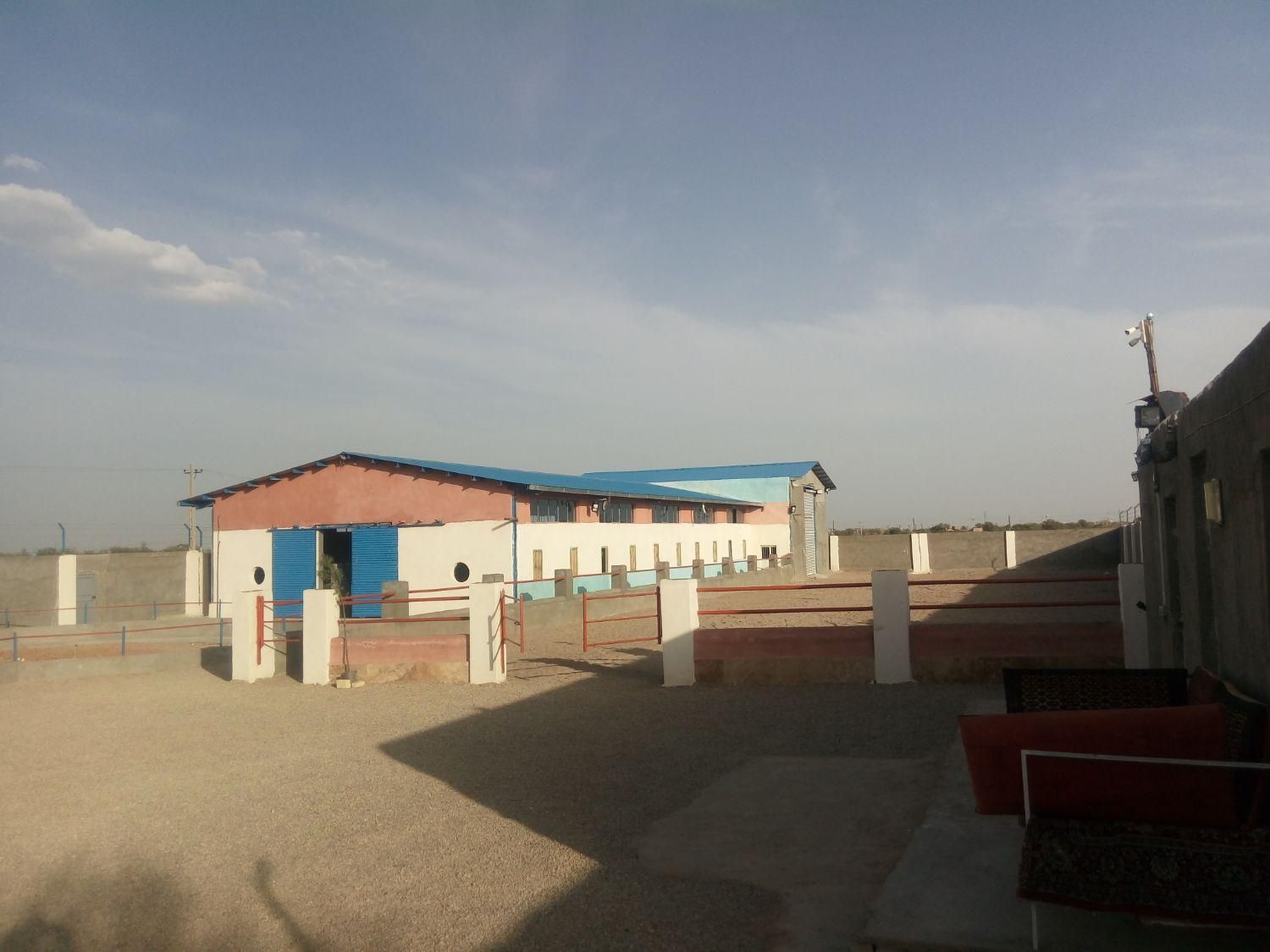 آموزش سوارکاری اسب سواری در تاکستان|خدمات آموزشی|تاکستان, |دیوار